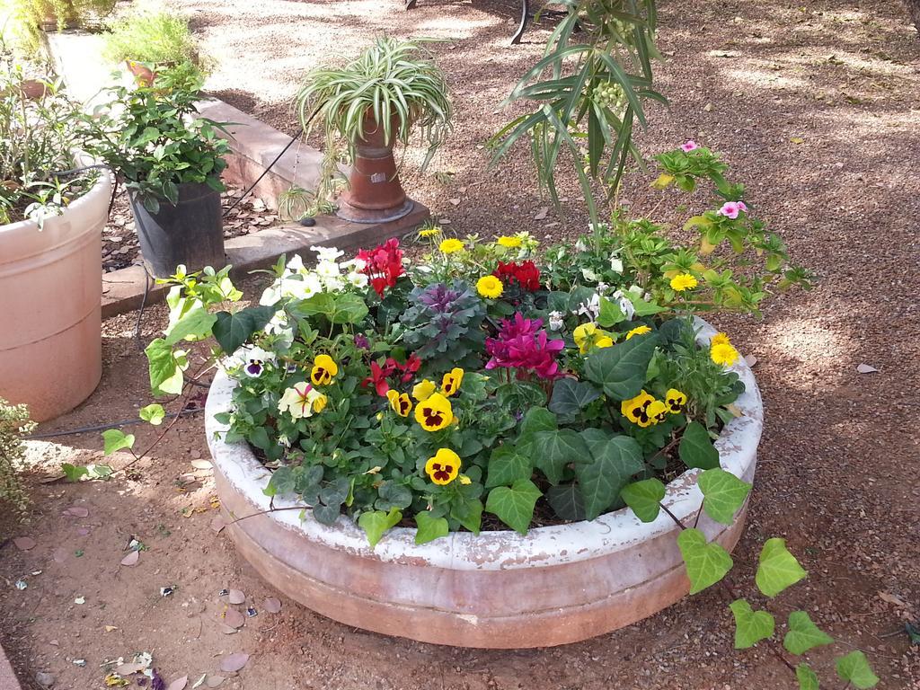 Sam Hughes Inn B&B Tucson Buitenkant foto