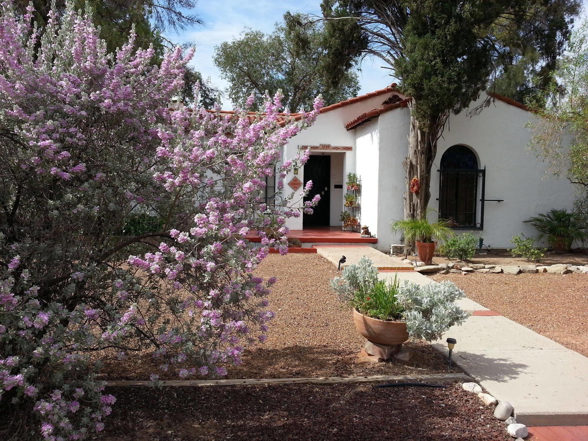 Sam Hughes Inn B&B Tucson Buitenkant foto